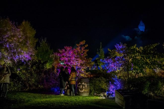 The evening version of the popular Medokvas event in Smolenice.