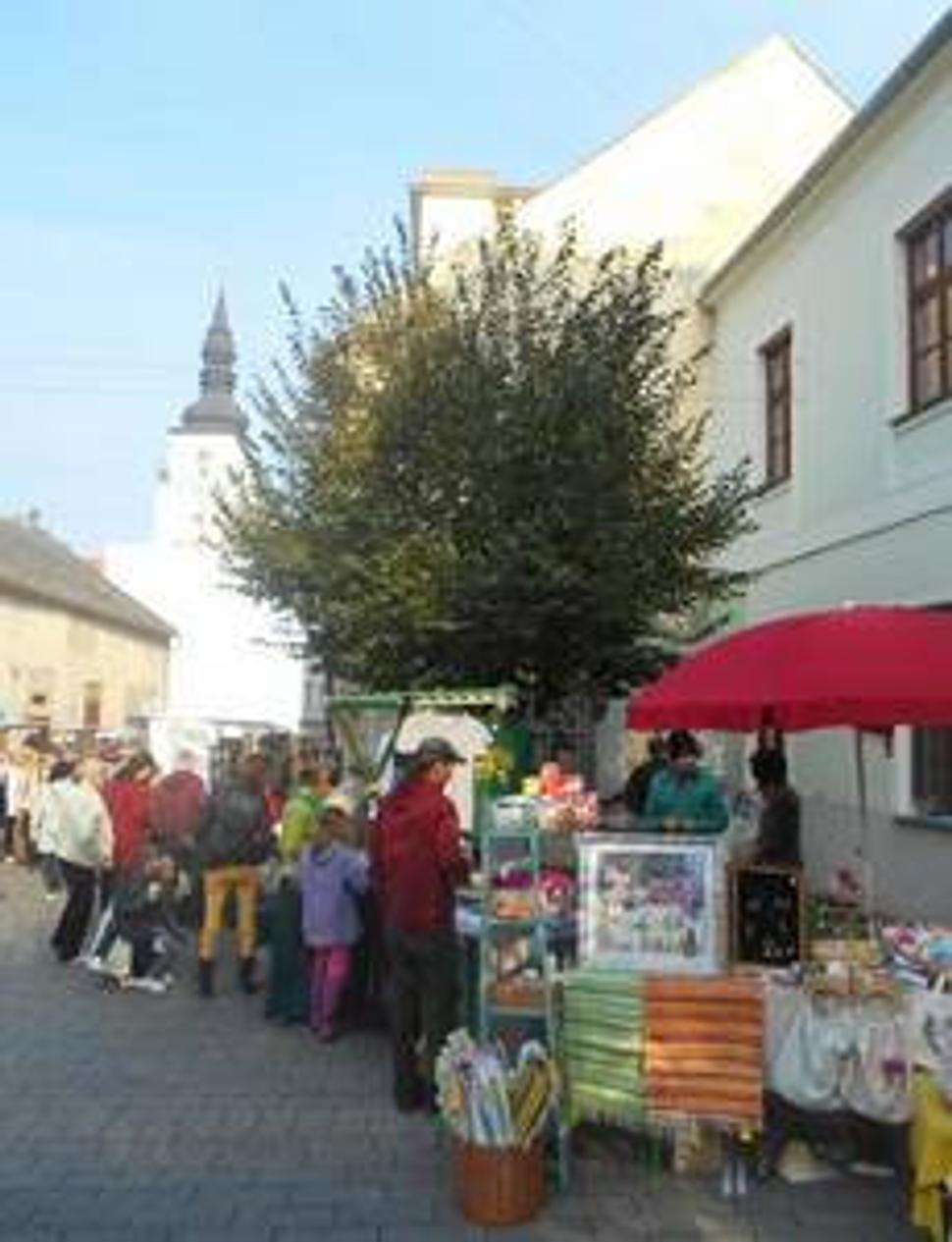 Obrázok blogu