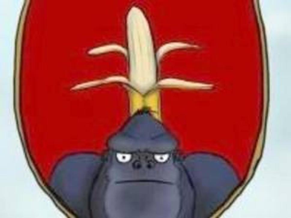 Obrázok blogu