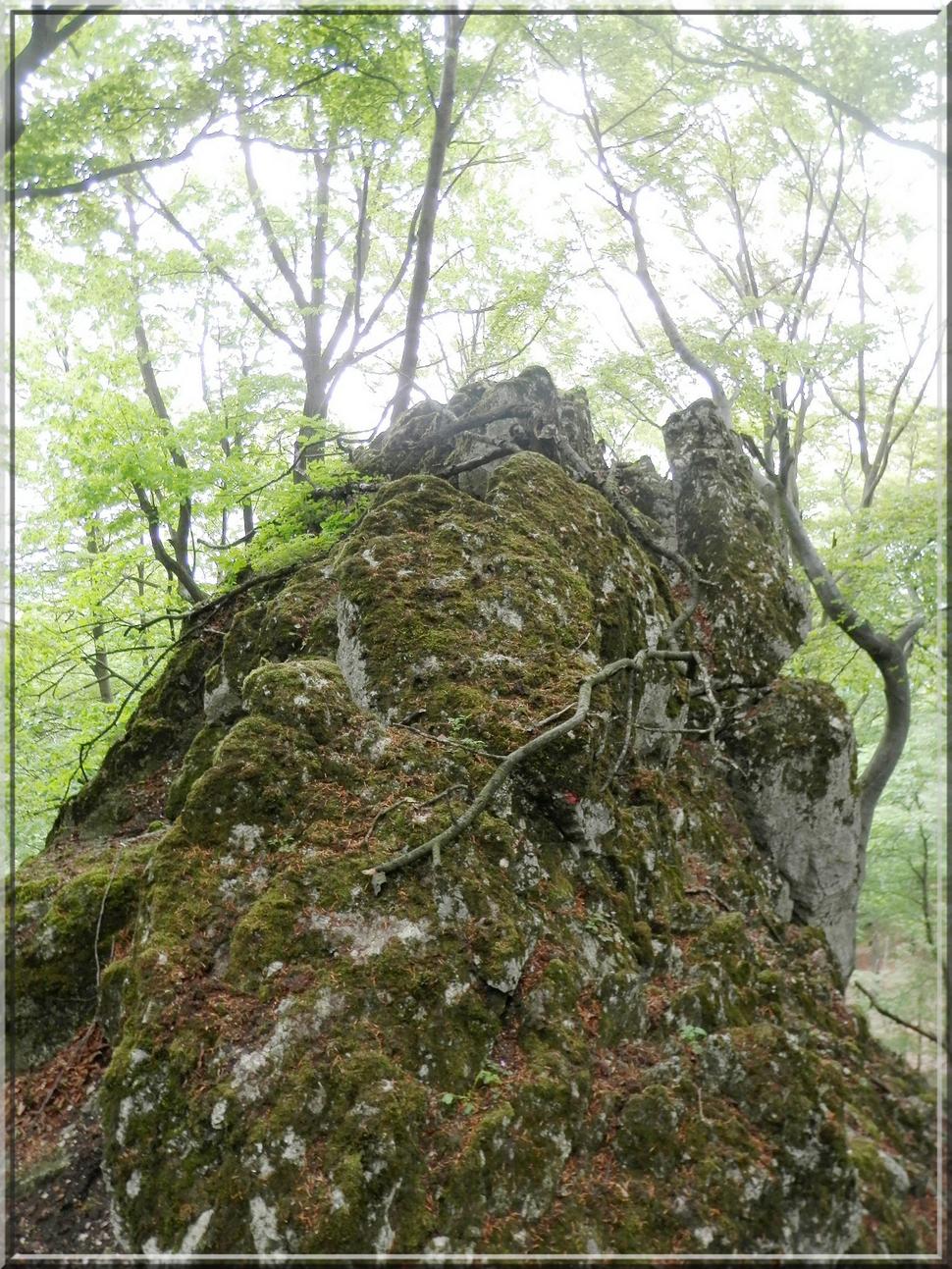 Obrázok blogu