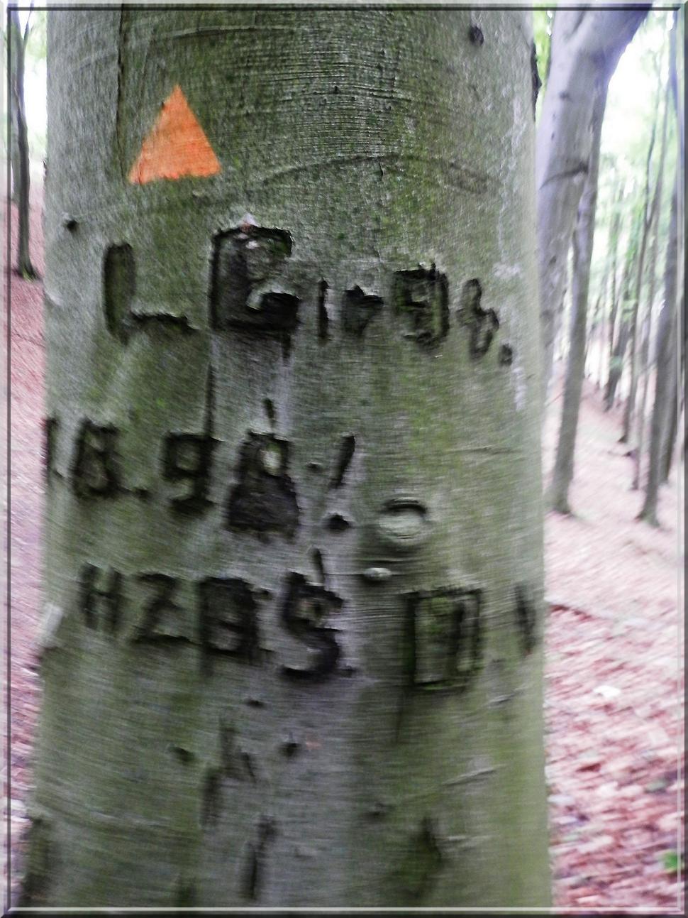1. 8. 98 - HZDS