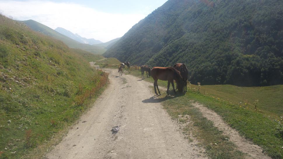 Bežný pohľad v Svaneti