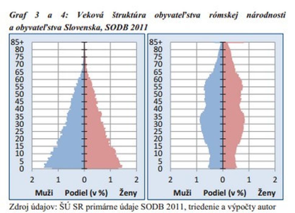 Stromy života -rómska populácia a majorita