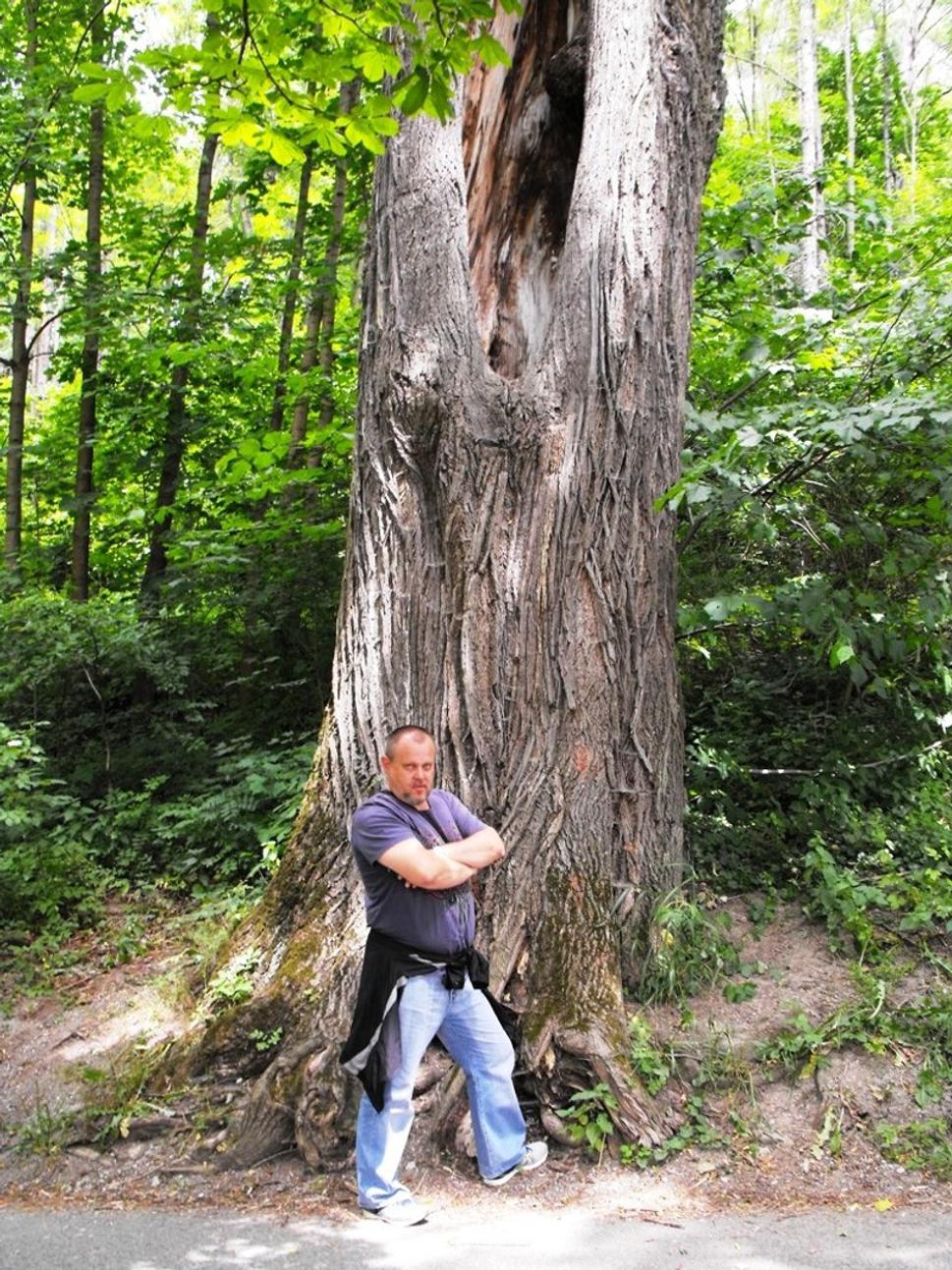 Obrázok blogu