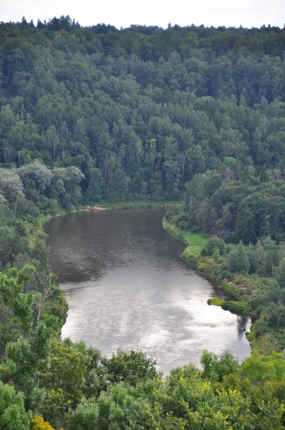 Rieka Gauja