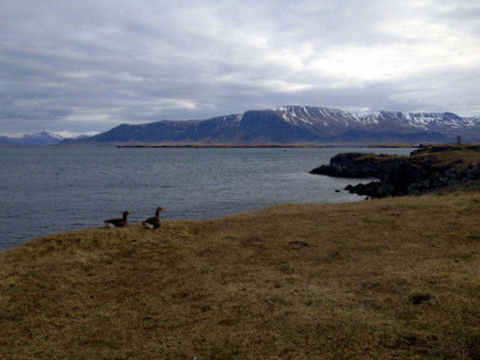 Esja, symbol Reykjavíku
