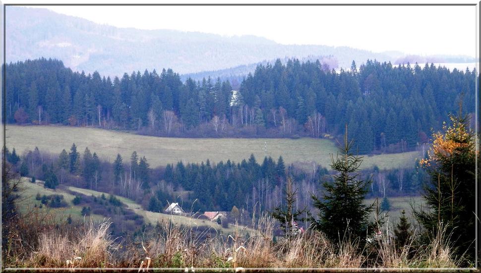 Turzovská vrchovina