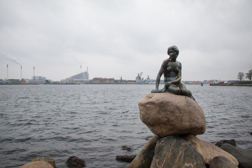 Mala morská víla