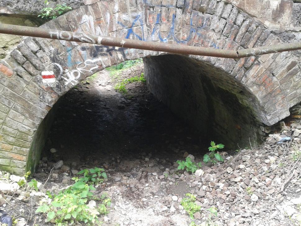 Popod železnicu