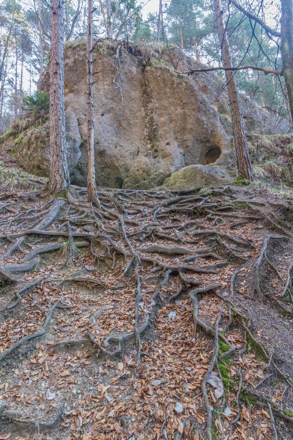 V Súľovských vrchoch