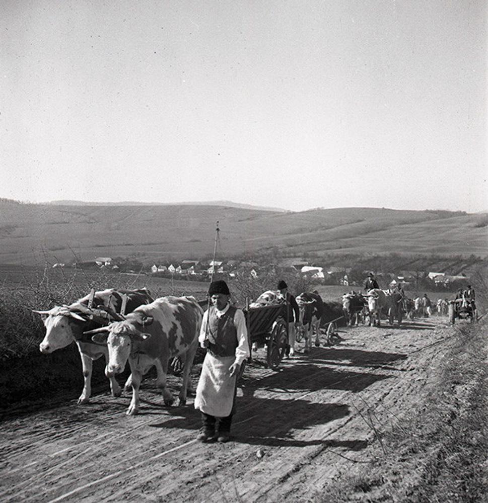 Hradište. Unikátny záber na dolný koniec obce. Je jasné, že fotograf sa snažil zachytiť niečo iné, ale aj "pozadie" má pre nás ohromný prínos.