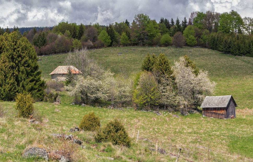 Podpoľanie