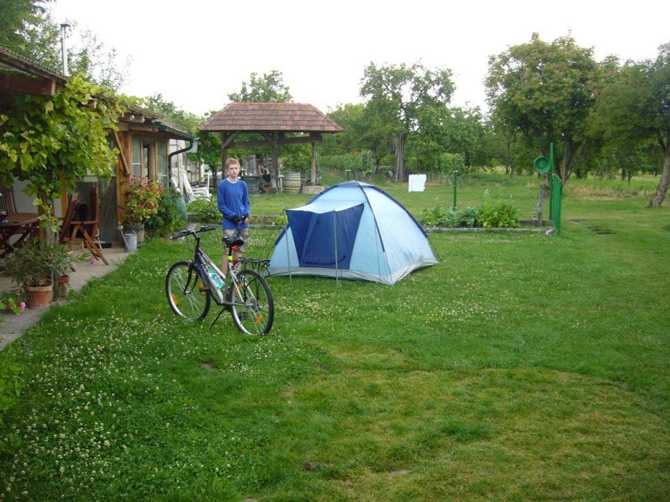 V kempe, na dvore