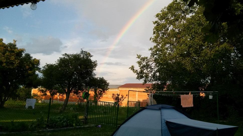Po daždi