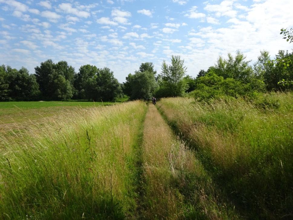 Panenská príroda