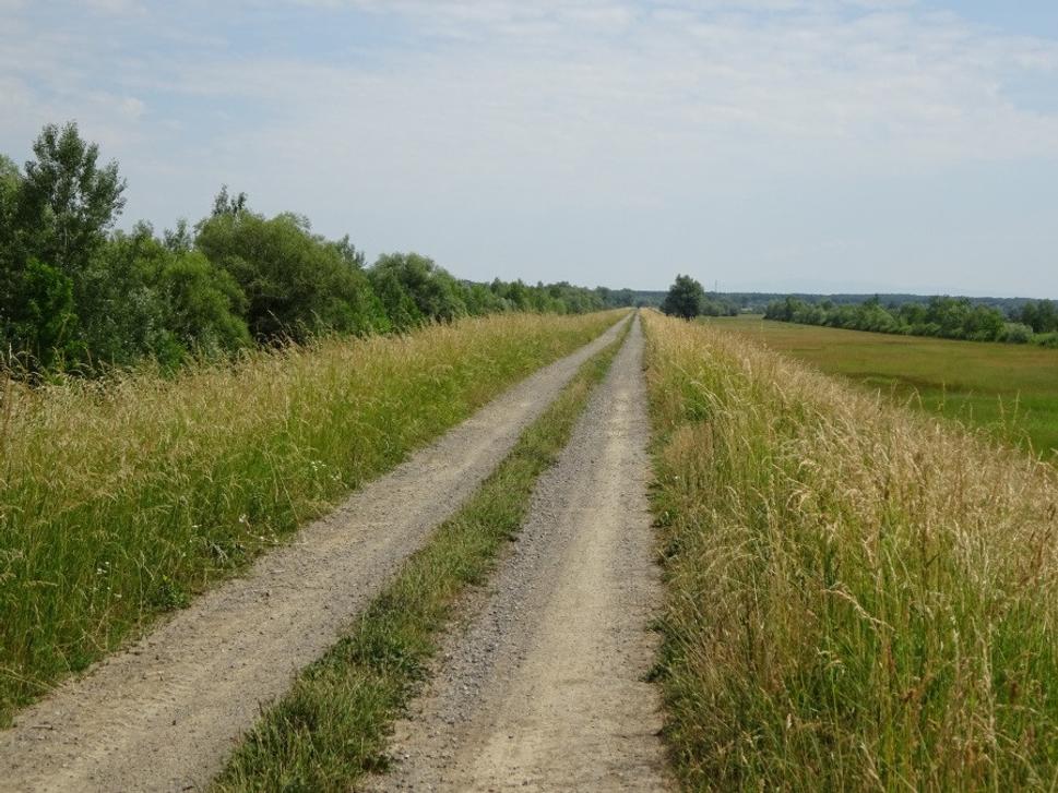 Najrovinatejšia rovina