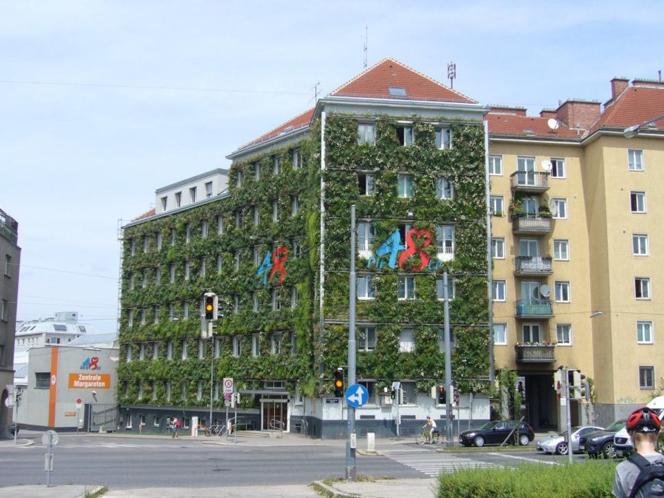 A celozelený dom
