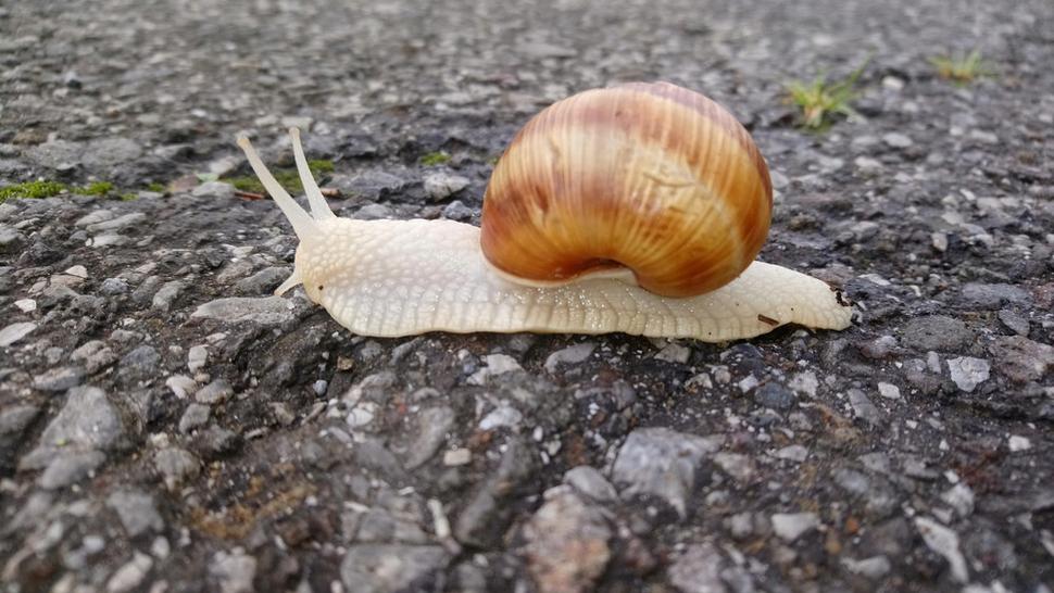 Konečne na ceste.... už bežím prvý deň.