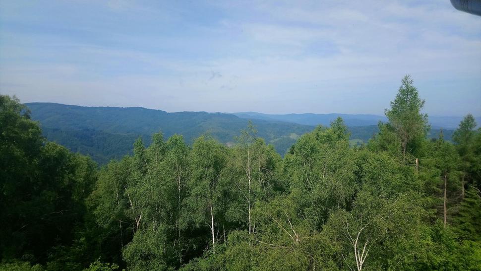 Pohľad z rozhľadne na Čergov