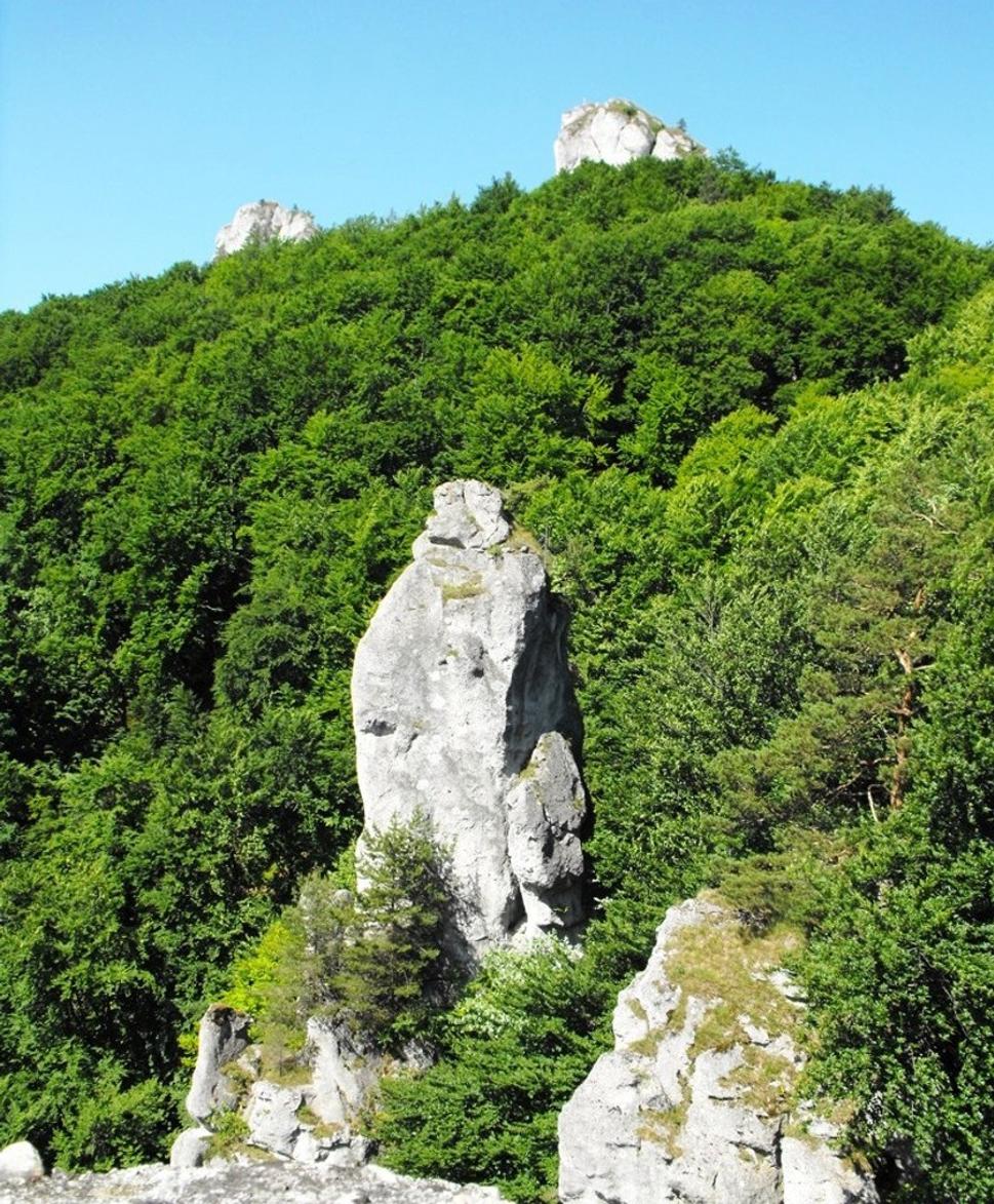 Obrázok blogu
