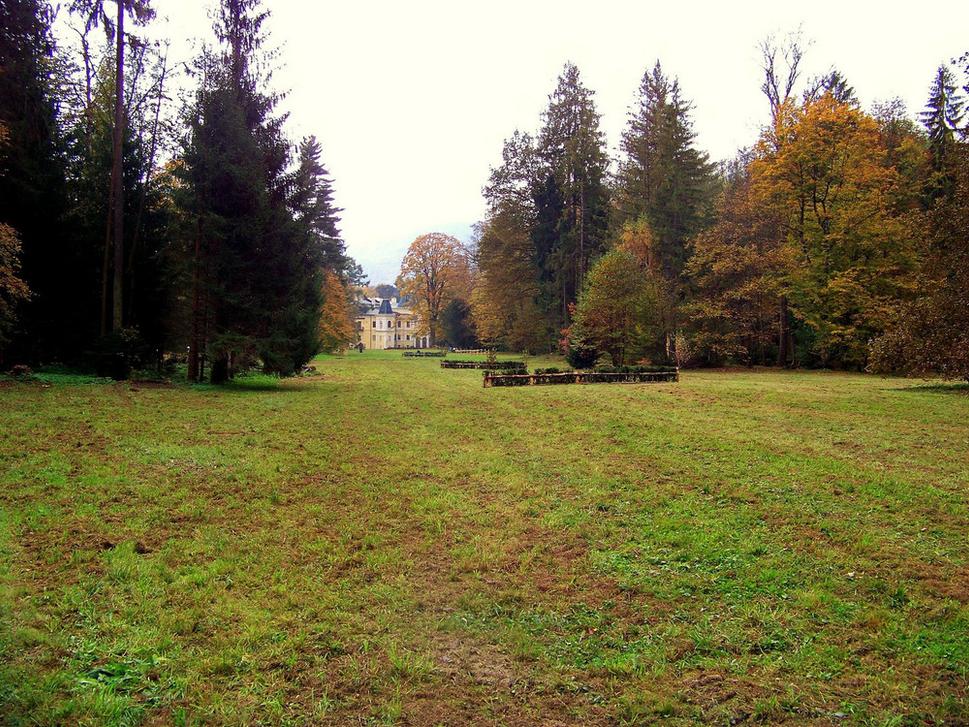 Obrázok blogu