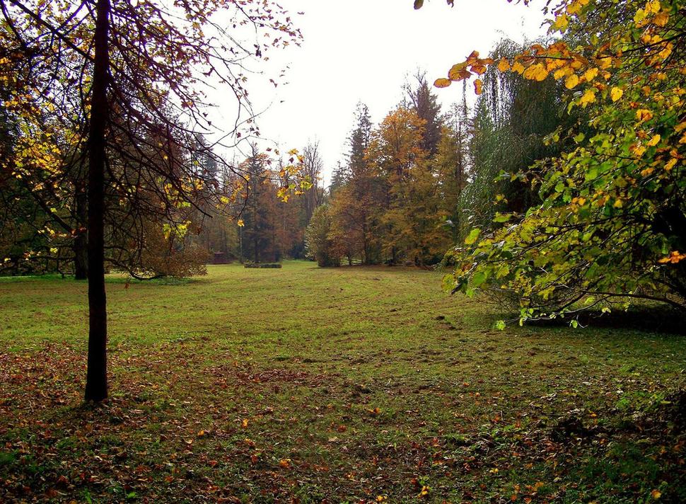 Obrázok blogu