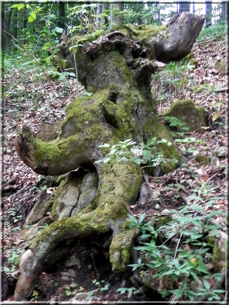 Obrázok blogu