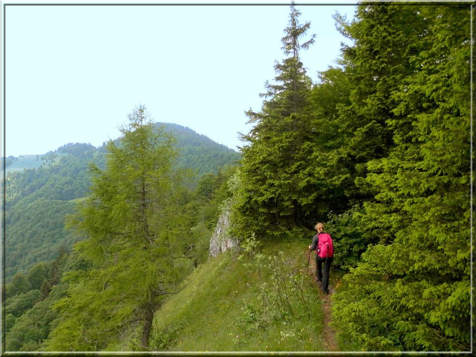 Dubničanka