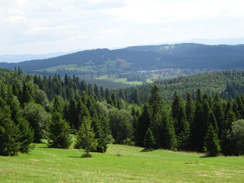 Výhľad na Levočskú Dolinu