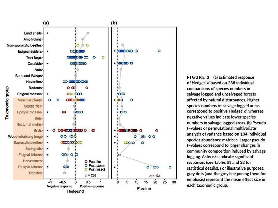 Obr. 4 Odozva rôznych skupín organizmov na kalamitnú ťažbu. V červenom rámiku sú zahrnuté skupiny s negatívnou odozvou. (zdroj Thorn et al. 2017)