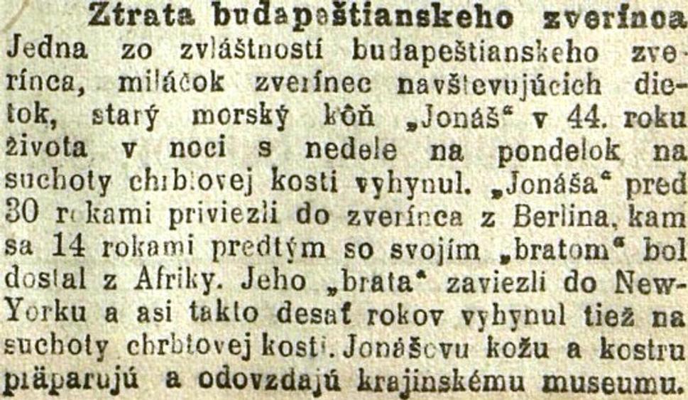 Obrázok blogu