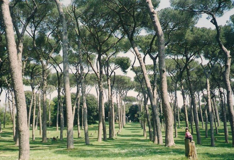 Nad hrobmi starých Rimanov v Ostia Antica