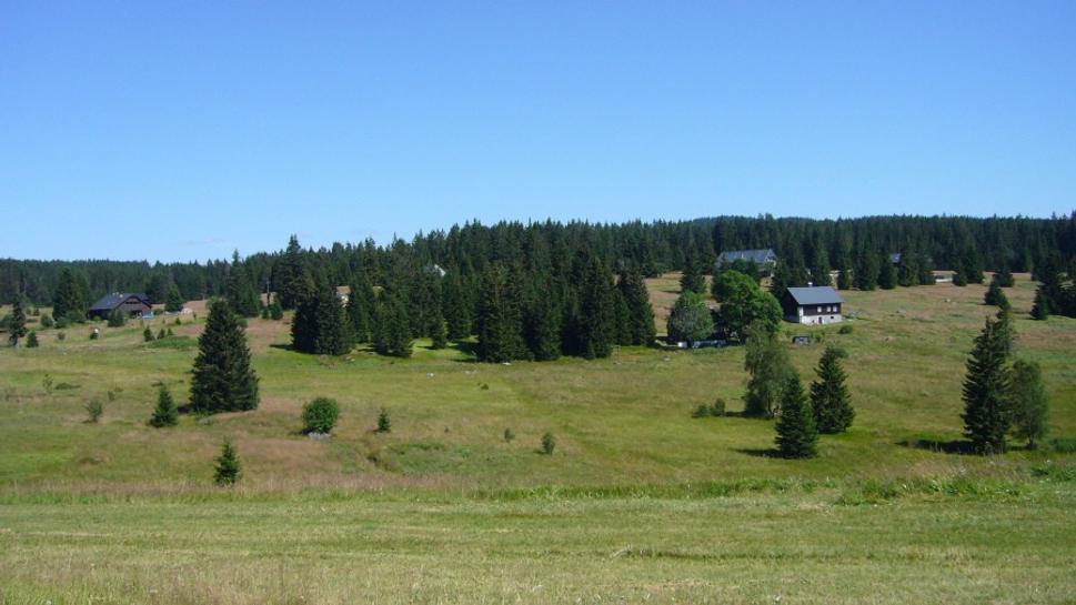 Šumava sa neomrzí