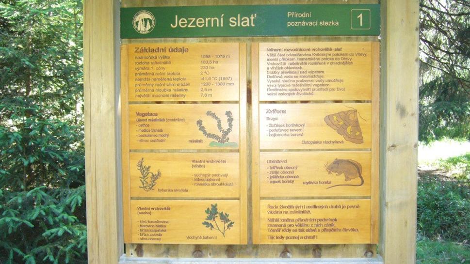 Jezerní slať