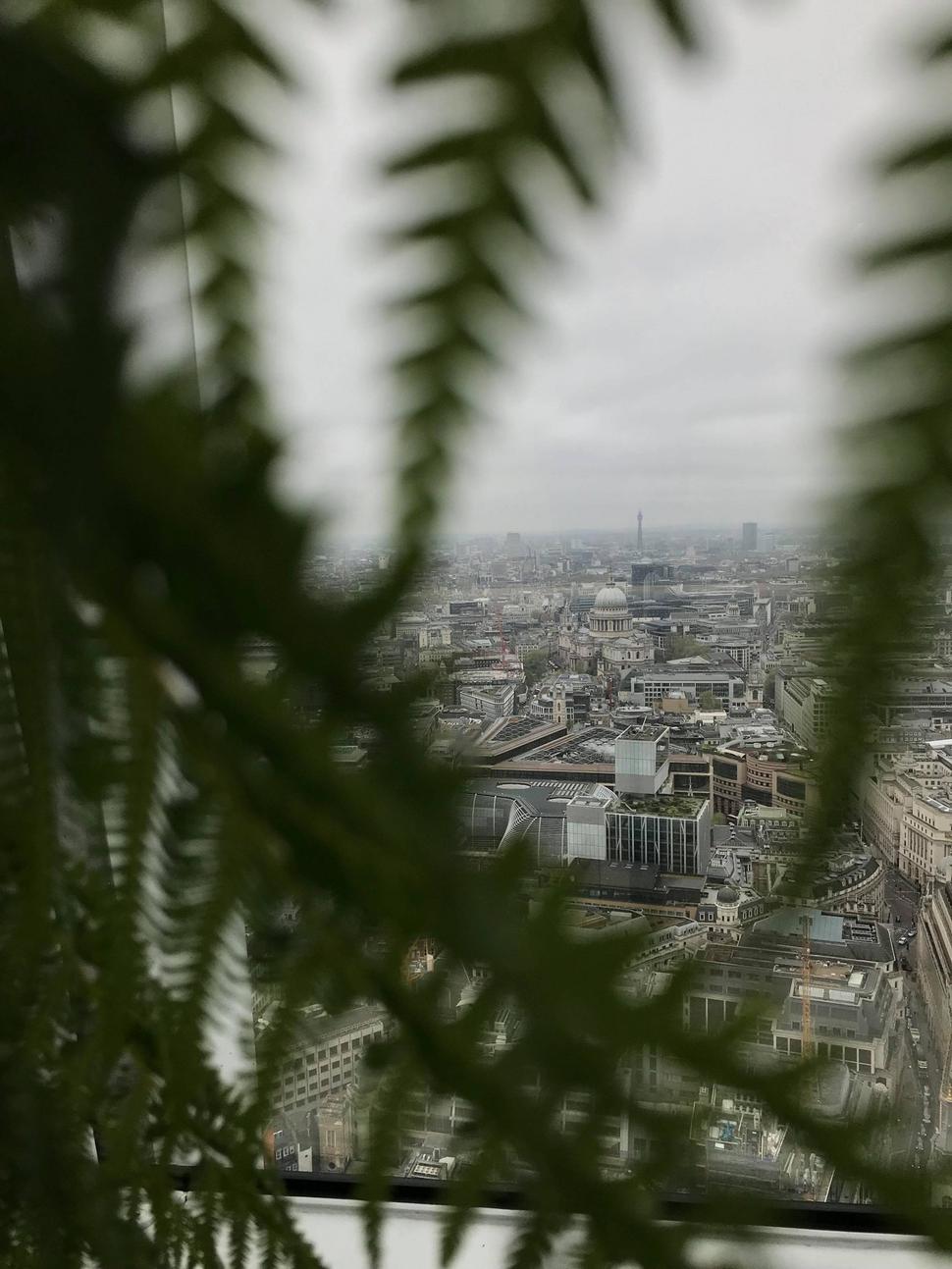 Výhľad zo Sky Garden