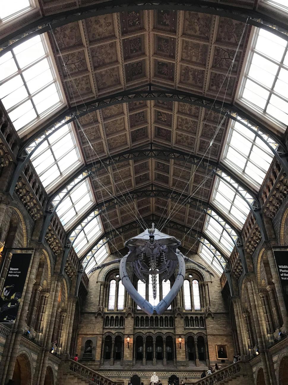 Natural History Museum