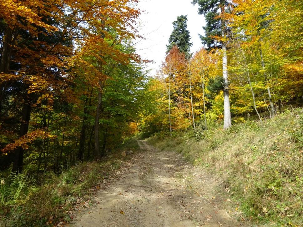 Obľúbený Čergov