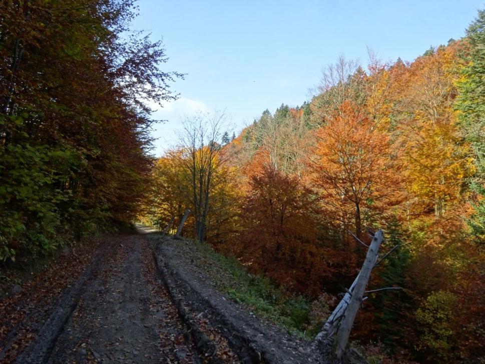 Zjazd dole je ako Utrpenie mladého Werthera