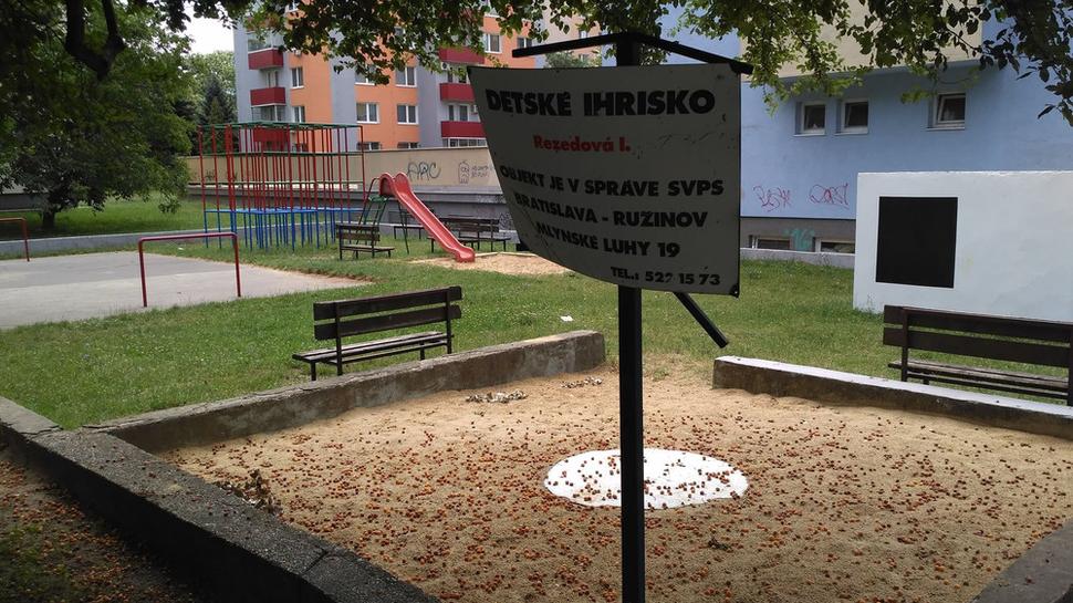 Obrázok blogu