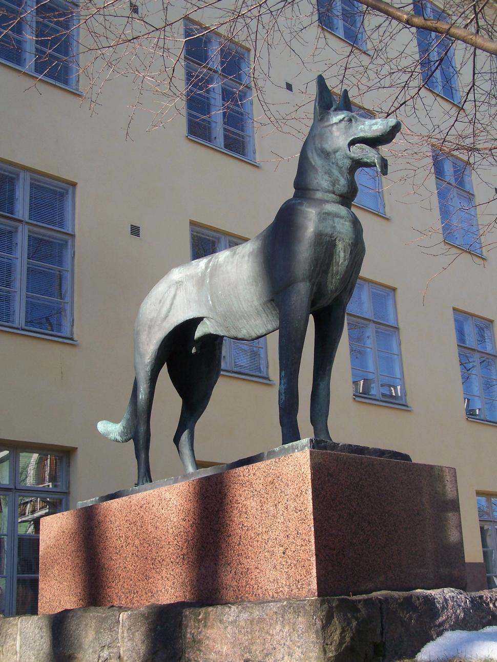 Obrázok blogu