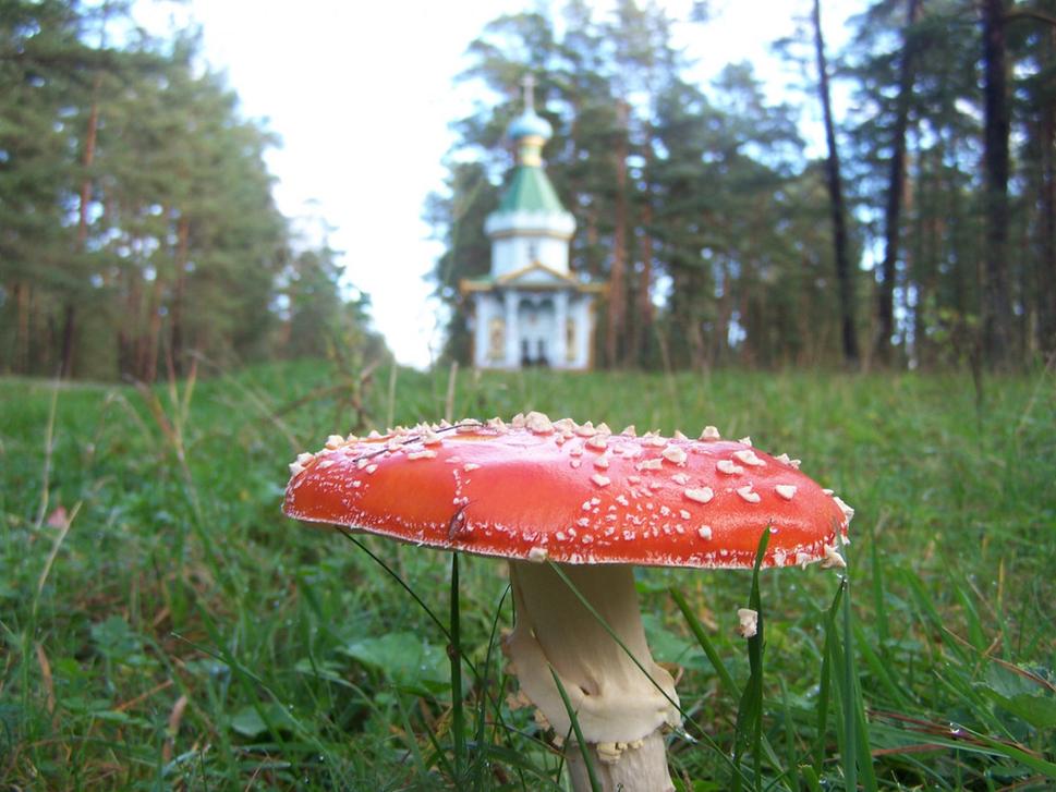Obrázok blogu