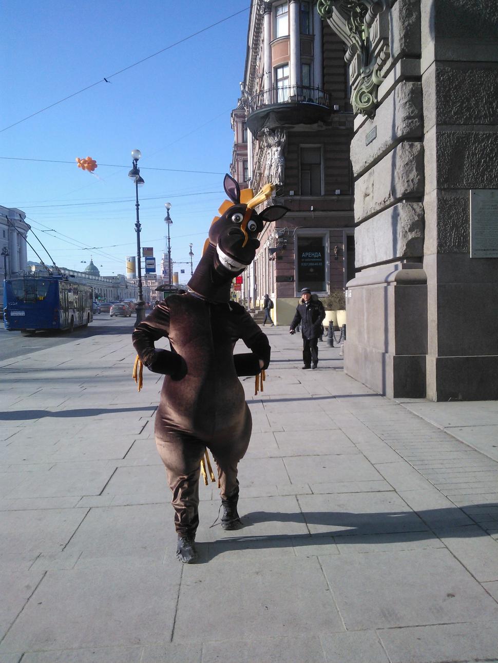 Obrázok blogu