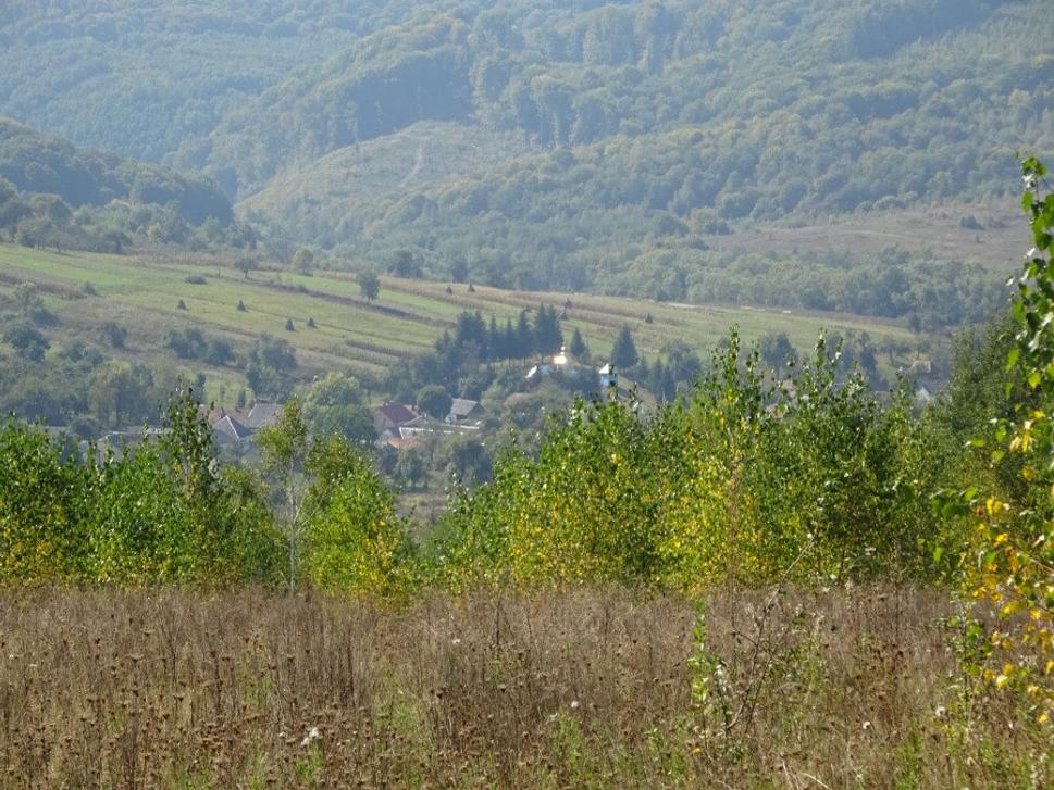 Karpaty