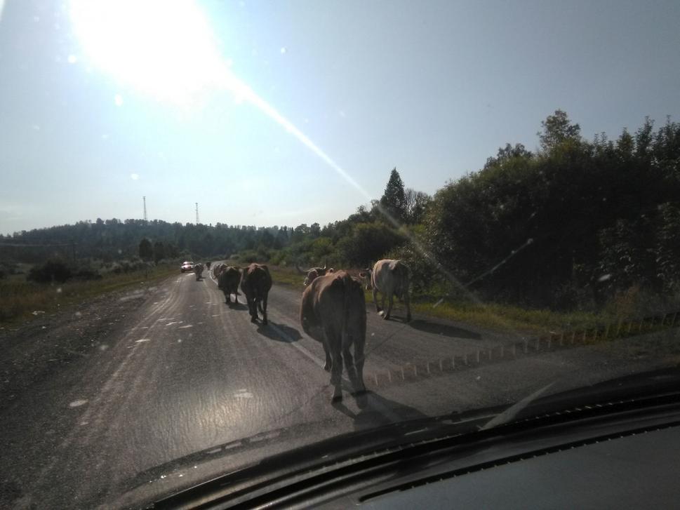 Cestou k Teleckému jazeru