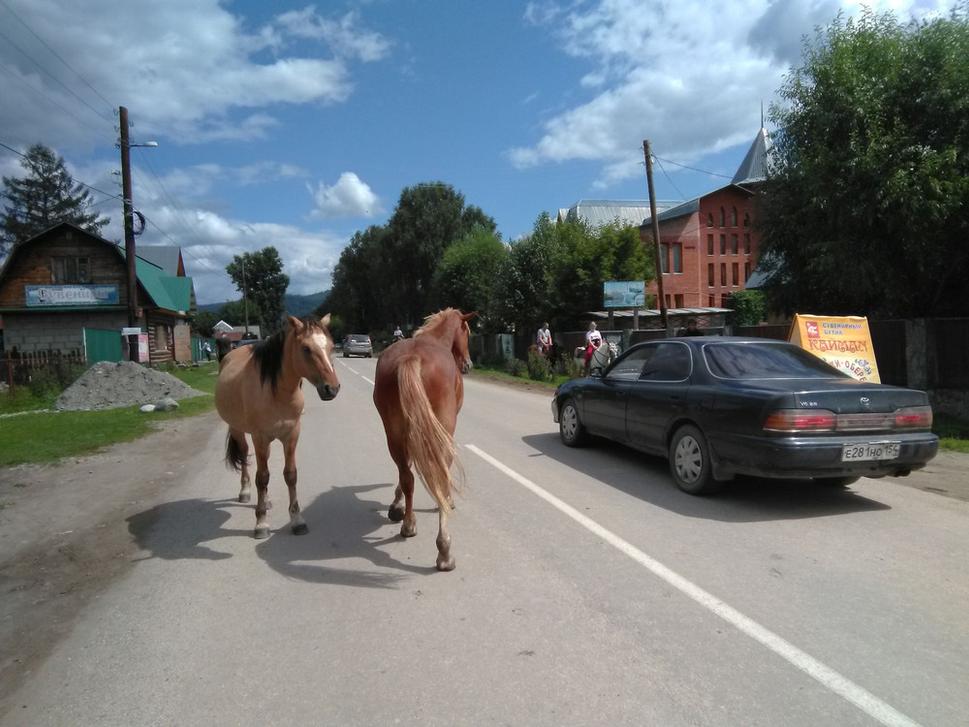 Ulicou Artybašu