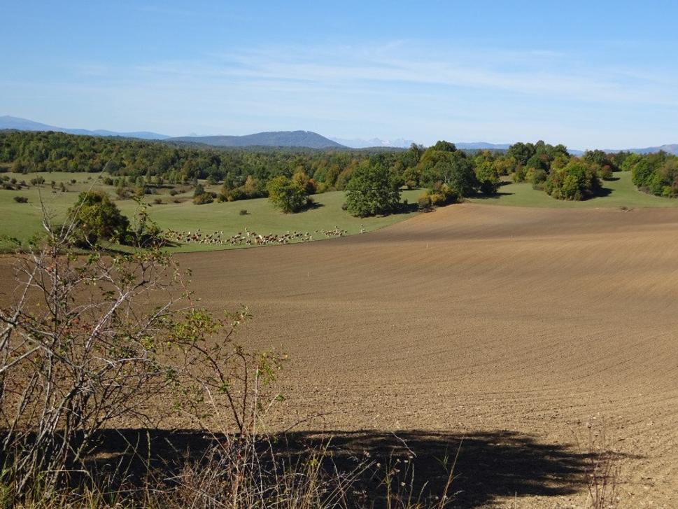 Silická planina