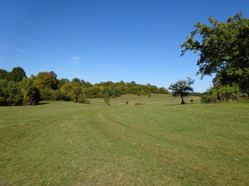 Silická planina II