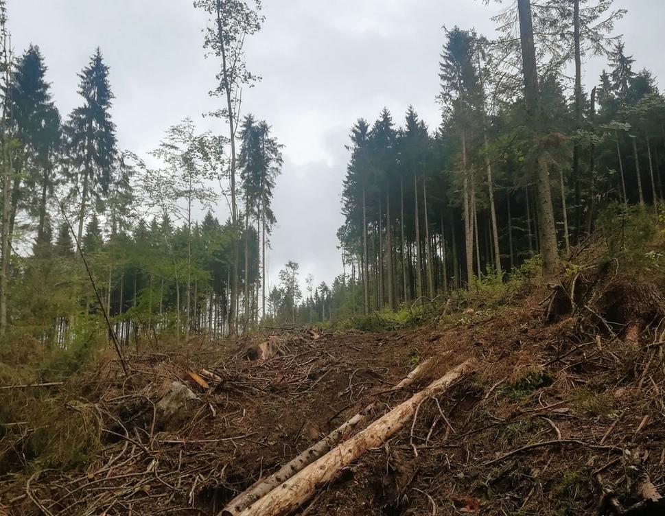 Národný park Muránska planina. Turistický chodník.