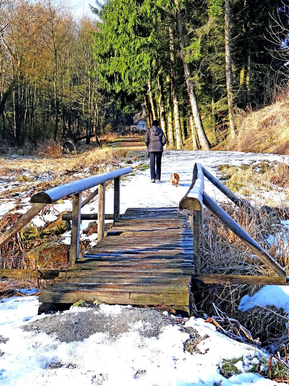Obrázok blogu