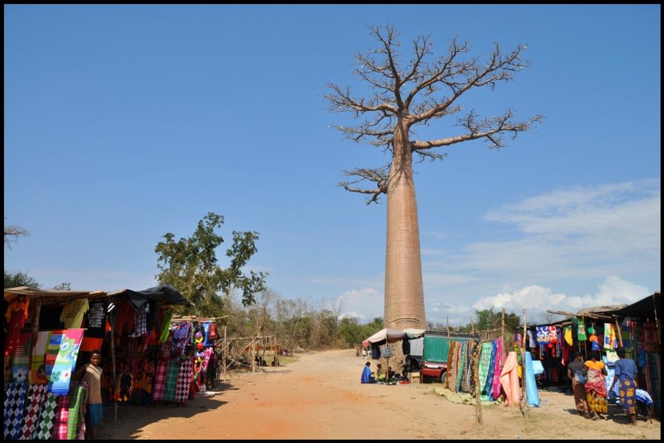 V dedinke pod baobabom